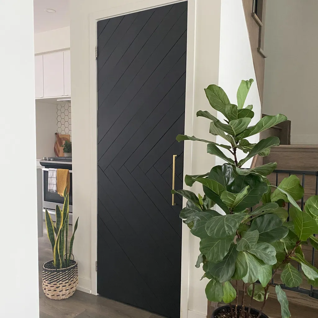 A black modern door with a fig tree