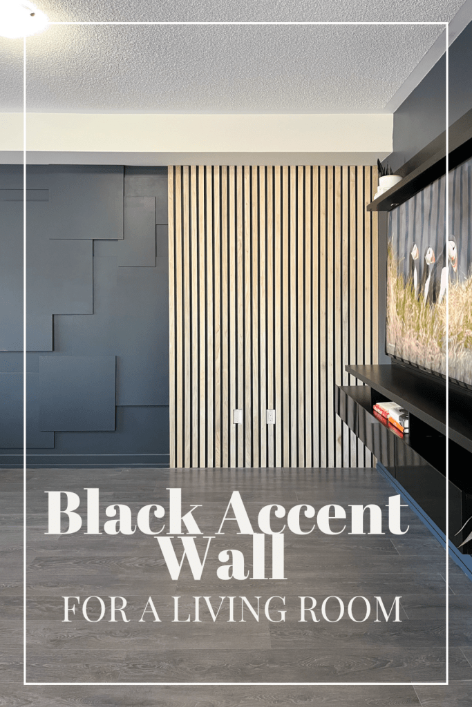 Black accent wall in living room with slat and TV