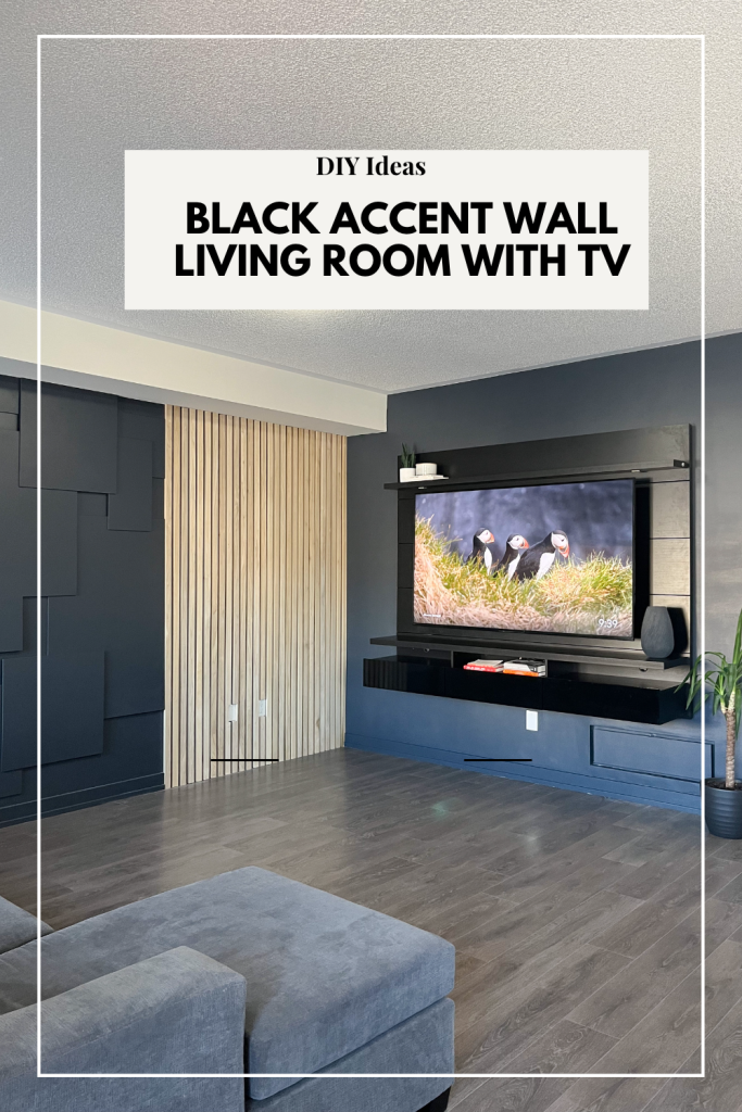 Black accent wall in living room with TV
